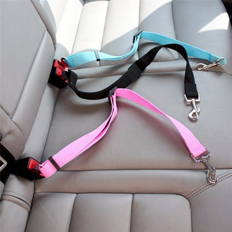 Cat Car Seat Belt Dog Accessor - Swing Seat Belt recension och pris