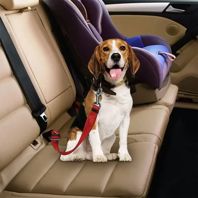 Pet Dog Car Seat Belt, Double- - Swing Seat Belt recension och pris
